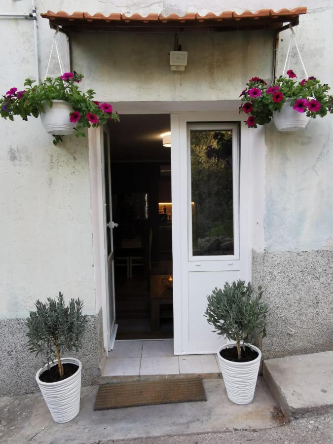 Apartment With Garden Vela Luka Exterior foto
